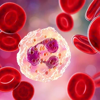Terapia enzimatica în inflamatiile acute si cronice