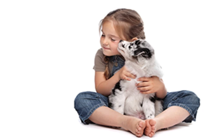 Contactul cu animalele in copilarie – ajutor pentru sistemul imunitar?