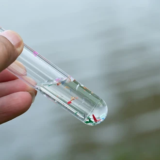 Microplasticele ar putea fi eliminate prin fierberea apei