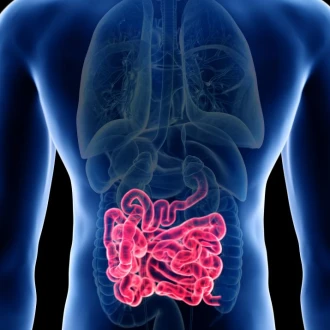 Videocapsula endoscopică – inovația pentru investigarea intestinului subțire