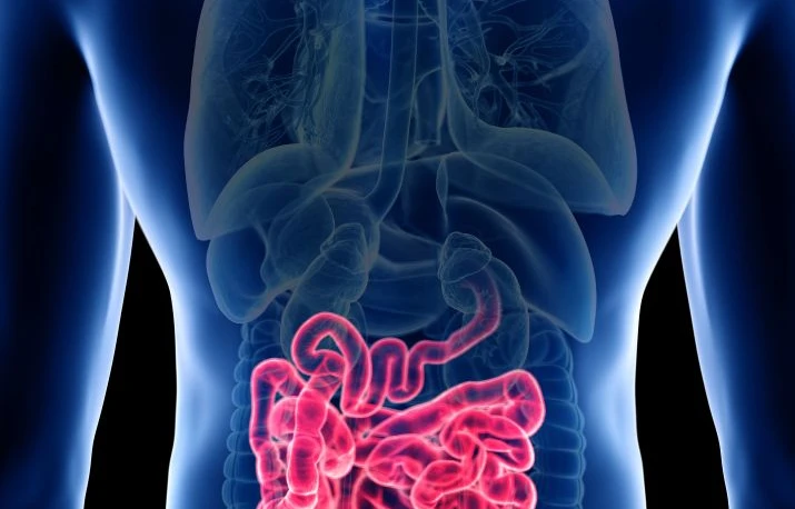 Videocapsula endoscopică – inovația pentru investigarea intestinului subțire