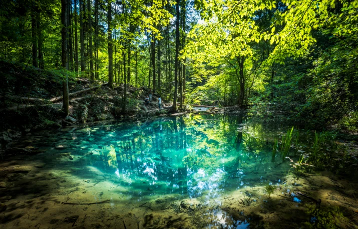 Parcul Naţional Cheile Nerei-Beuşniţa – refugiu istoric şi natural, secular