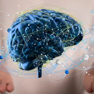 Interacțiunile sociale stimulează creierul mai mult decât cele online