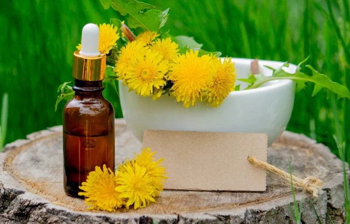 PĂPĂDIA – slăbire, detoxifiere, controlul diabetului și prevenția cancerului