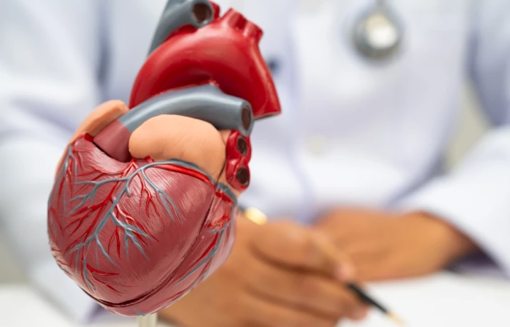 Cum pot fi prevenite bolile cardiovasculare?