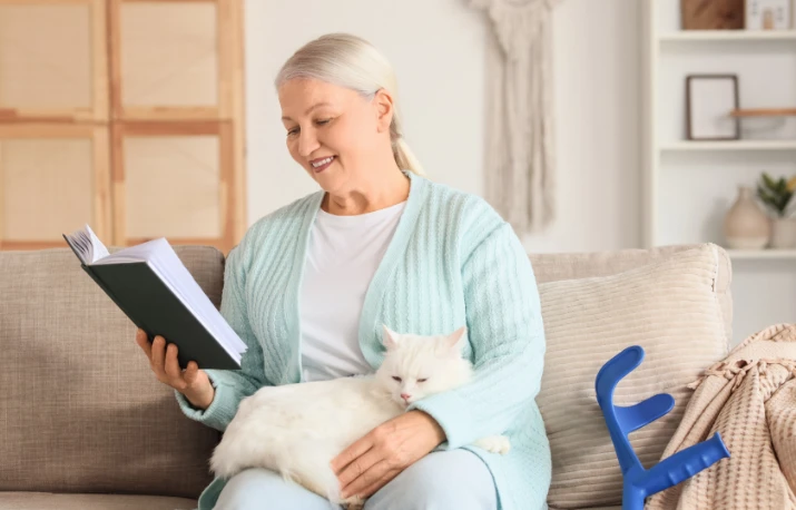 Pisicile – un companion terapeutic, dar sensibil
