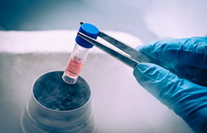 Studiu: celulele stem sunt benefice in tratarea disfunctiilor erectile ulterioare tratamentului de cancer 