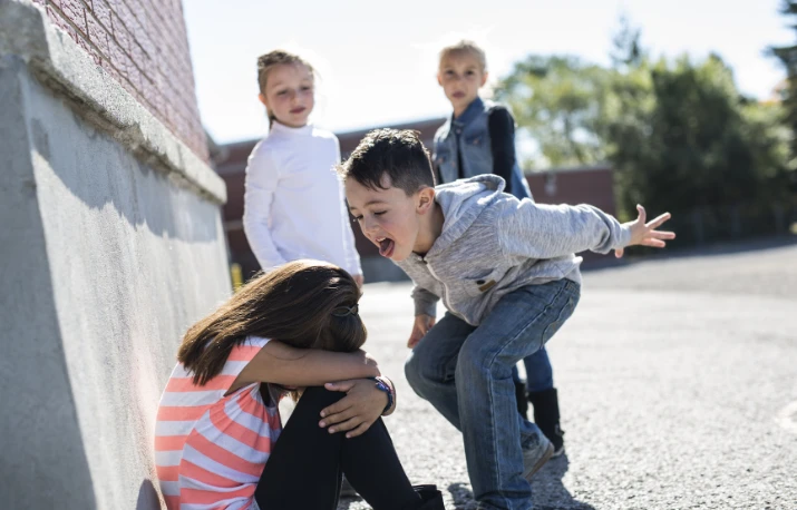 Bullying în școală – repere și opțiuni