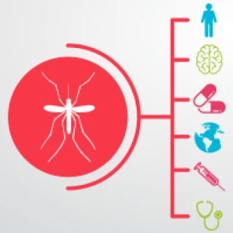 SUA si Brazilia vor colabora in gasirea unui vaccin impotriva Zika