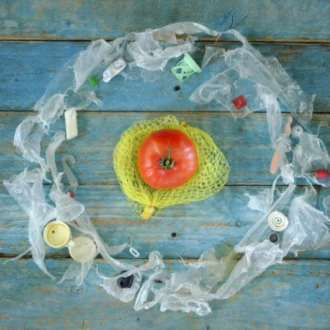 Microplasticele pot declanșa creșterea în greutate?