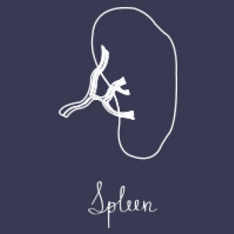 Splina – Bolile splinei