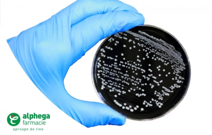 Bacteriile Campylobacter