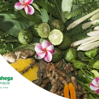 Acțiunea tămăduitoare a alimentației ayurvedice 
