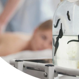 Lipitori, larve etc. folosite în tratamente medicale