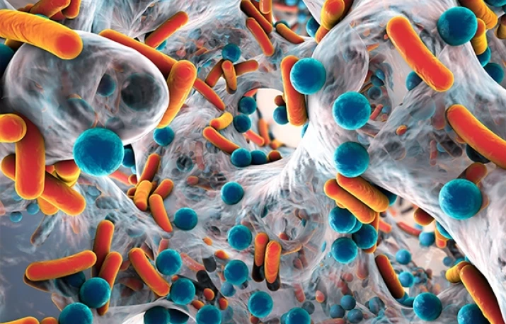 Multirezistență: Bacterii și antibiotice
