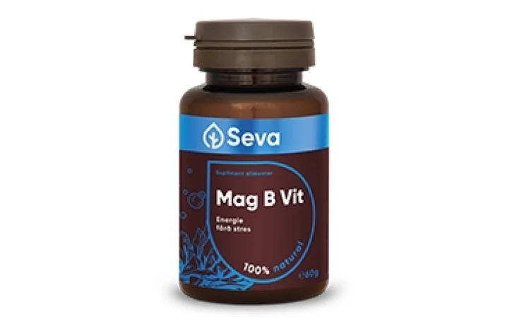 Seva - Mag B VIT