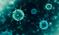 Cum afecteaza noul coronavirus intregul organism 
